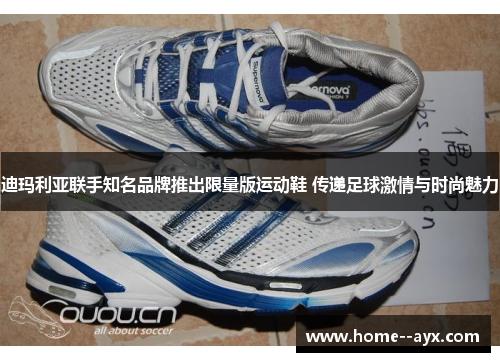 迪玛利亚联手知名品牌推出限量版运动鞋 传递足球激情与时尚魅力